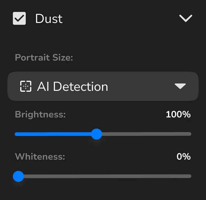 Dust